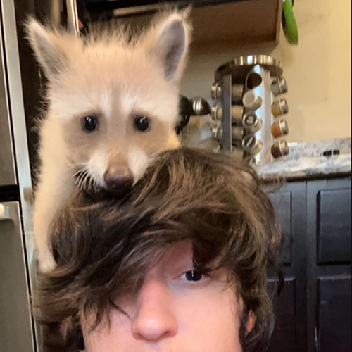 TikTok網(wǎng)紅推薦:美國(guó)寵物智能設(shè)備和寵物用品宣傳博主 TikTok網(wǎng)紅推薦:美國(guó)寵物智能設(shè)備和寵物用品宣傳博主